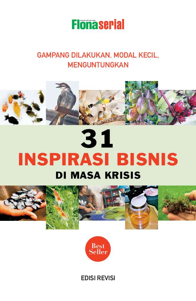 Cover 31 INSPIRASI BISNIS DI MASA KRISIS / FLONA SERIAL