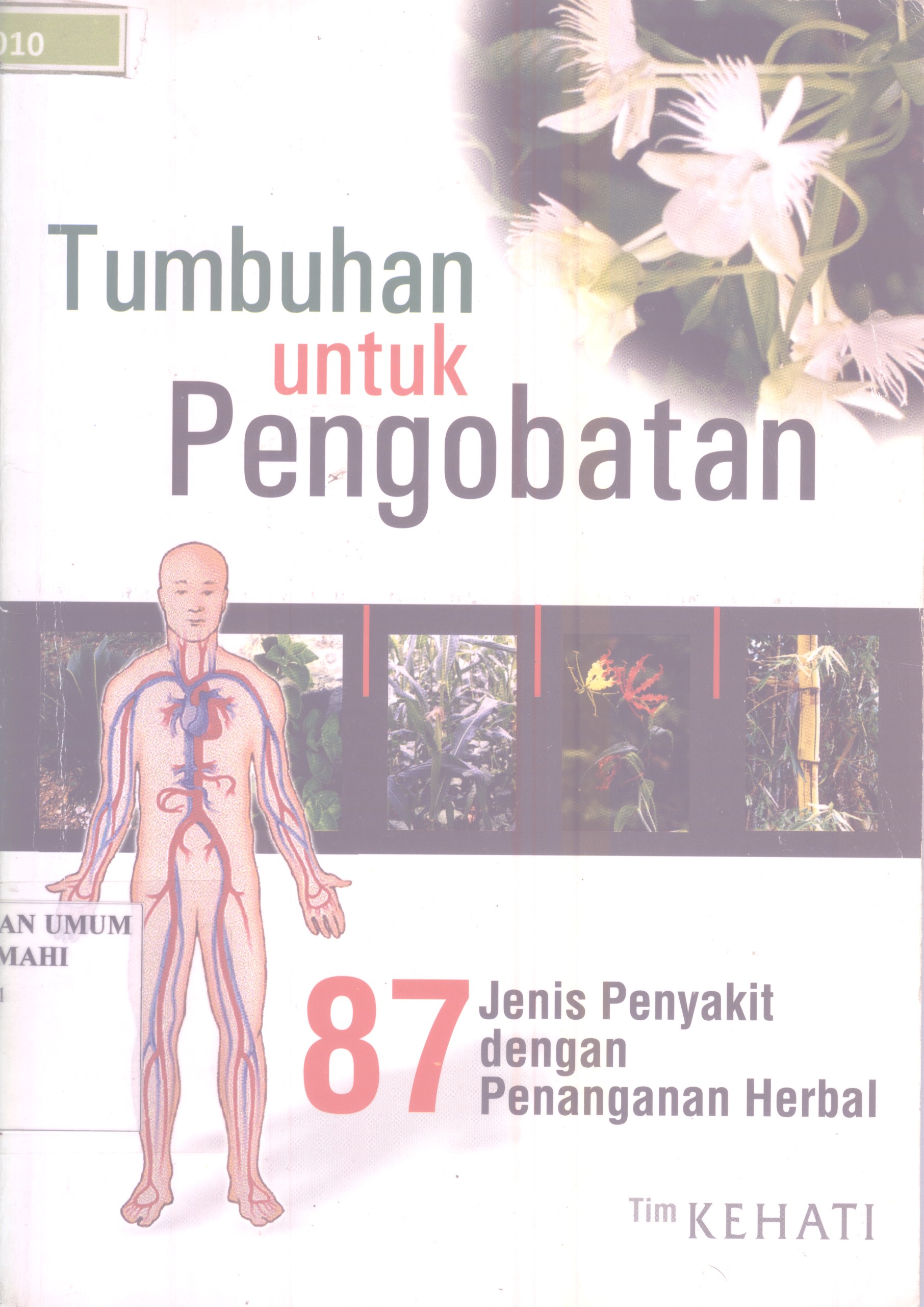 Cover TUMBUHAN UNTUK PENGOBATAN :  87 JENIS PENYAKIT DENGAN PENANGANAN HERBAL / SUKARSONO, DKK