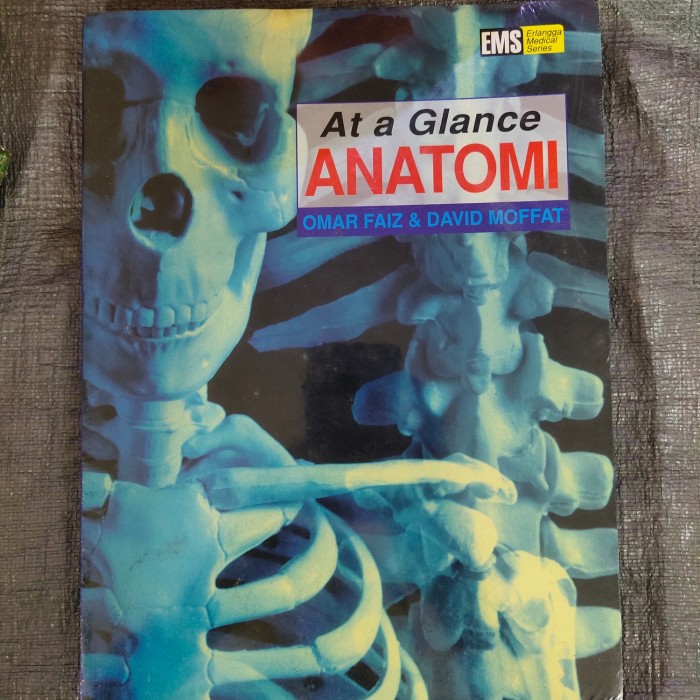 Cover AT A GLANCE ANATOMI / OMAR FAIZ