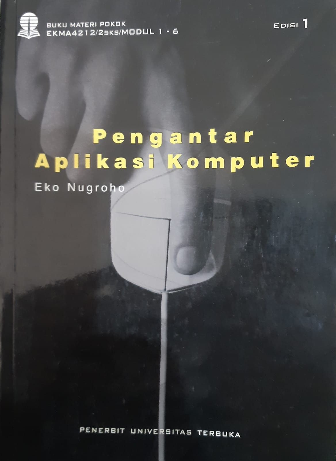 Cover PENGANTAR APLIKASI KOMPUTER / EKO NUGROHO