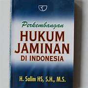 Cover PERKEMBANGAN HUKUM JAMINAN DI INDONESIA / H. SALIM HS., SH.,M.S.
