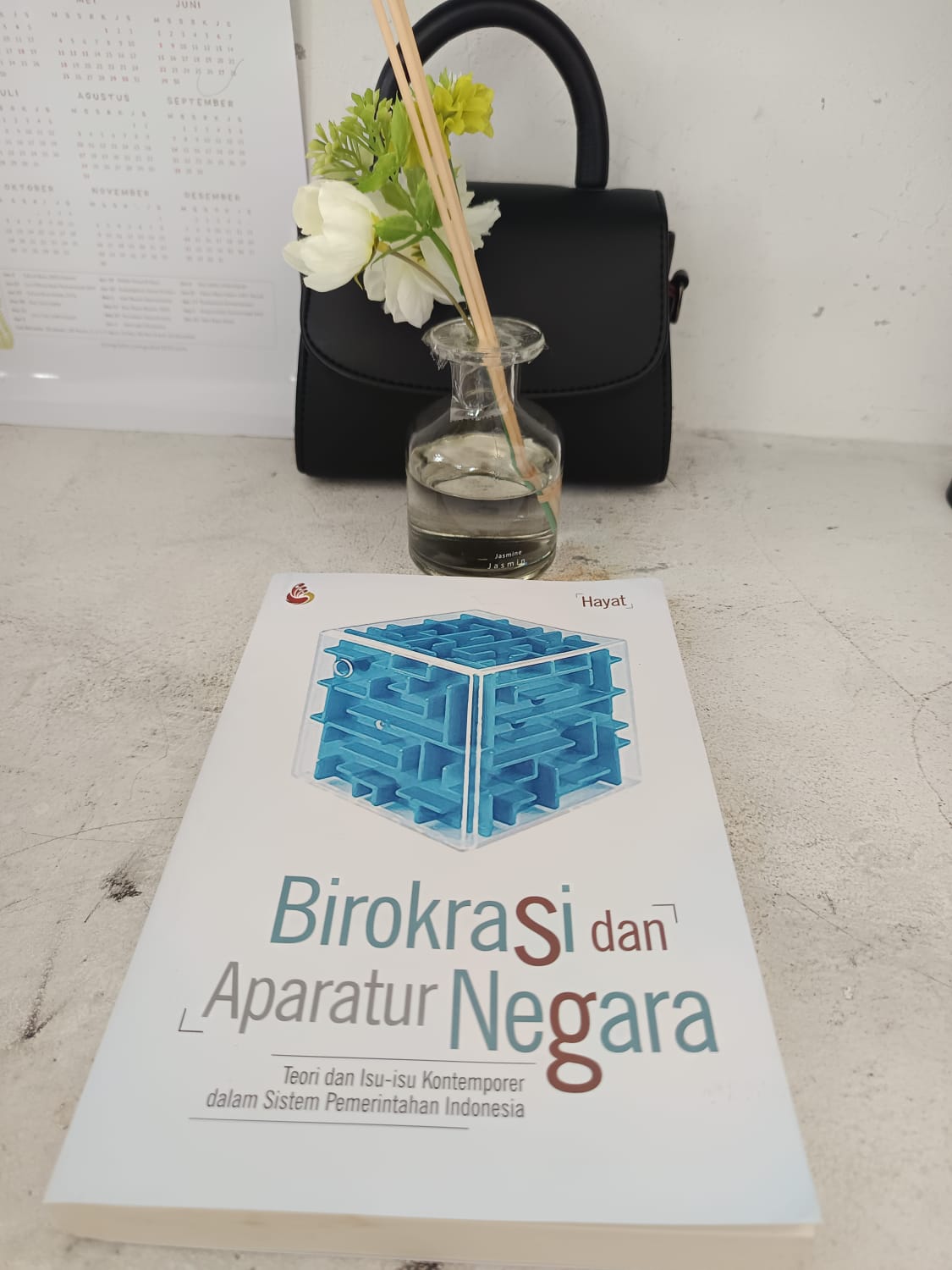 Cover "BIROKRASI DAN APARATUR NEGARA" :  TEORI DAN ISU-ISU KONTEMPORER DALAM SISTEM PEMERINTAHAN INDONESIA / HAYAT
