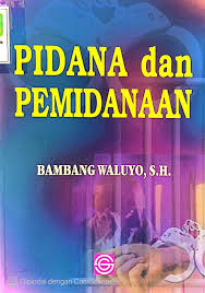 Cover PIDANA DAN PEMIDANAAN / BAMBANG WALUYO