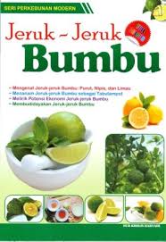 Cover JERUK-JERUK BUMBU / NUR KHOLIS HARYADI