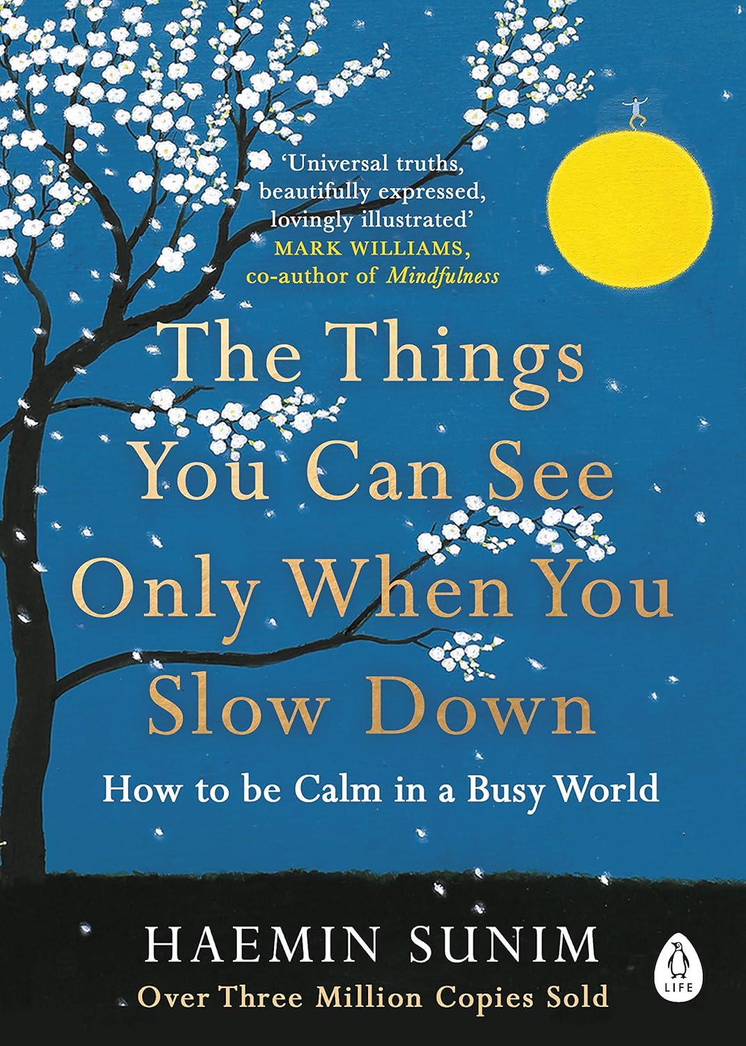 Cover THE THINGS YOU CAN SEE ONLY WHEN YOU SLOW DOWN :  How To Be Calm IN a Busy World / HAEMIN SUNIM