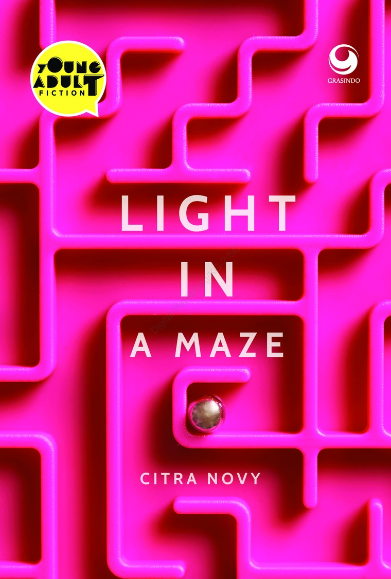 Cover LIGHT IN A MAZE / CITRA NOVY