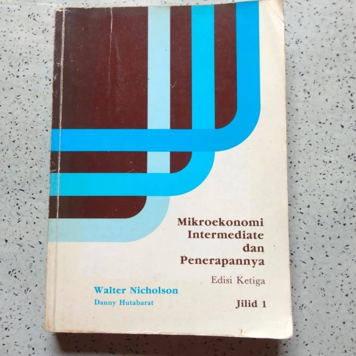 Cover MIKROEKONOMI INTERMEDIATE DAN PENERAPANNYA / WALTER NICHOLSON