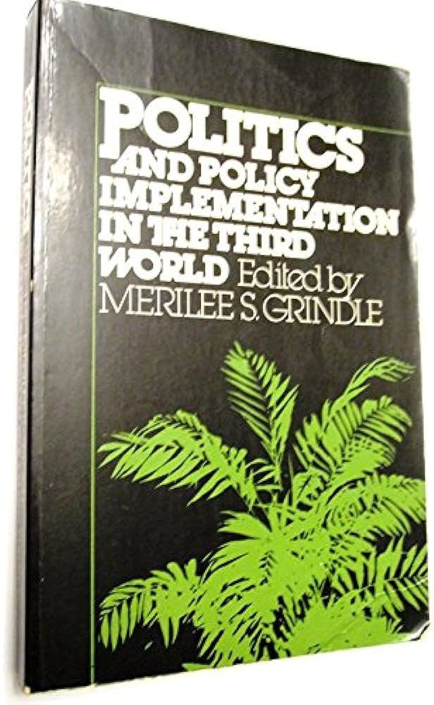 Cover POLITIC AND POLICTY IMPLEMENTATION IN THE THIRD WORLD / MERILEE S. GRINDLE