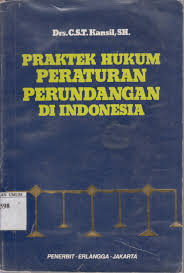 Cover PRAKTEK HUKUM PERATURAN PERUNDANGAN DI INDONESIA / KANSIL