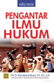 Cover PENGANTAR ILMU HUKUM / PETER MAHMUD MARZUKI